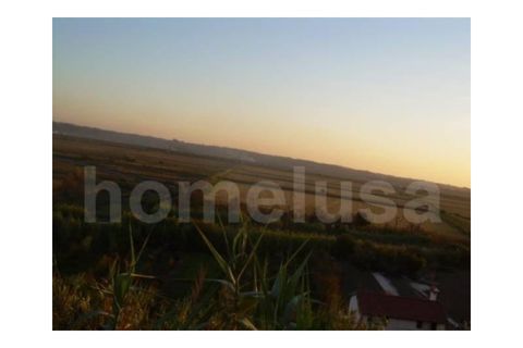 Terra a Vila Verde, Coimbra, Vila Verde - € 55.000 | Ref: 1481 - foto 4