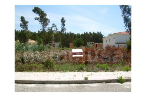 Terra a Lavos, Coimbra, Lavos - € 57.500 | Ref: FFTM F0071 - foto 4