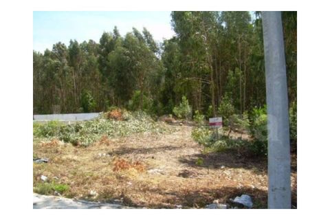 Terra a Lavos, Coimbra, Lavos - € 57.500 | Ref: FFTM F0071 - foto 6