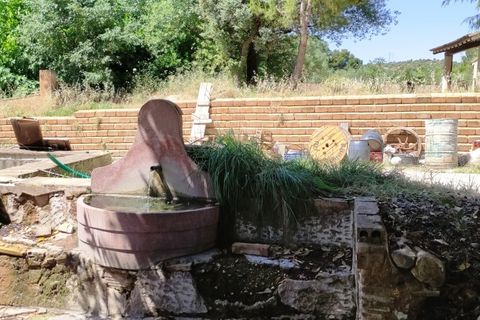 Finca i Bocairent, Valencia, Bocairent - € 1.500.000 | Ref: 2856 - foto 28