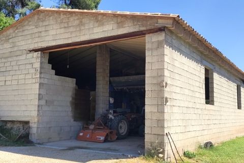 Finca i Bocairent, Valencia, Bocairent - € 1.500.000 | Ref: 2856 - foto 34