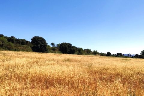 Finca i Bocairent, Valencia, Bocairent - € 1.500.000 | Ref: 2856 - foto 40