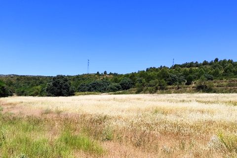 Finca i Bocairent, Valencia, Bocairent - € 1.500.000 | Ref: 2856 - foto 41