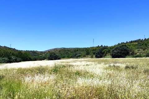 Finca i Bocairent, Valencia, Bocairent - € 1.500.000 | Ref: 2856 - foto 42
