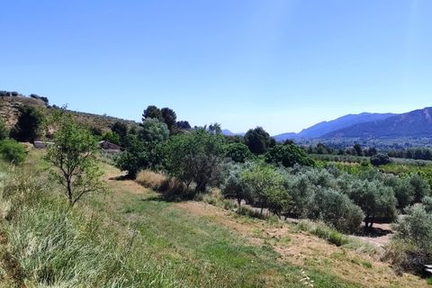 Finca i Bocairent, Valencia, Bocairent - € 1.500.000 | Ref: 2856 - foto 43