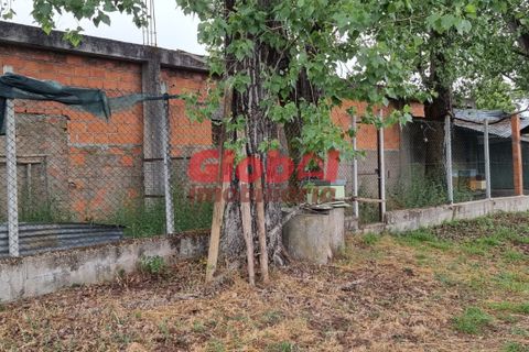 Farm i Viseu, Viseu, Viseu - € 75.000 | Ref: 189222181 - foto 2