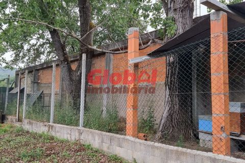 Farm i Viseu, Viseu, Viseu - € 75.000 | Ref: 189222181 - foto 3