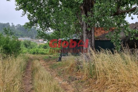 Farm i Viseu, Viseu, Viseu - € 75.000 | Ref: 189222181 - foto 4