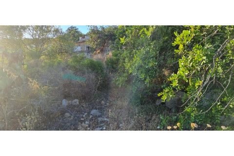 Helårsgrund i Estoi, Faro, Estoi - € 375.000 | Ref: HTP-0307 - foto 3
