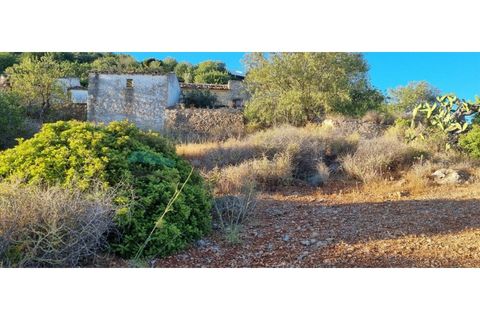 Helårsgrund i Estoi, Faro, Estoi - € 375.000 | Ref: HTP-0307 - foto 5