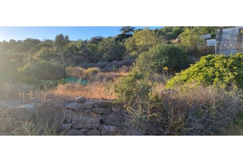 Helårsgrund i Estoi, Faro, Estoi - € 375.000 | Ref: HTP-0307 - foto 6