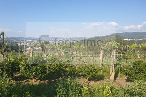 Farm i Guimaraes, Braga, Guimaraes - € 180.000 | Ref: 4586 - foto 2