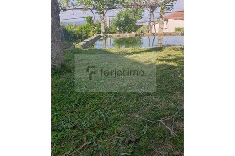 Farm i Guimaraes, Braga, Guimaraes - € 180.000 | Ref: 4586 - foto 3