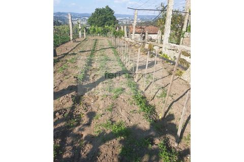 Farm i Guimaraes, Braga, Guimaraes - € 180.000 | Ref: 4586 - foto 4