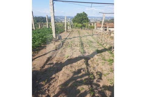 Farm i Guimaraes, Braga, Guimaraes - € 180.000 | Ref: 4586 - foto 5