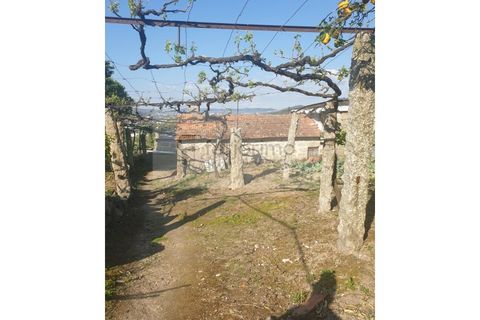 Farm i Guimaraes, Braga, Guimaraes - € 180.000 | Ref: 4586 - foto 6