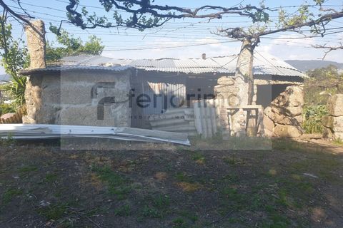Farm i Guimaraes, Braga, Guimaraes - € 180.000 | Ref: 4586 - foto 8