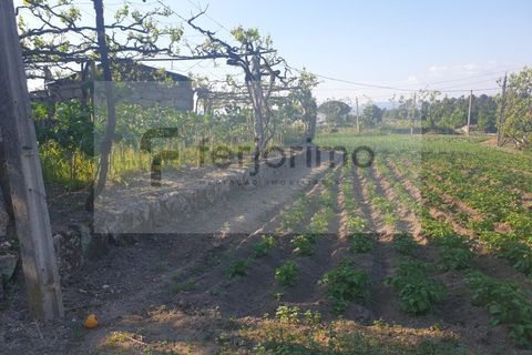 Farm i Guimaraes, Braga, Guimaraes - € 180.000 | Ref: 4586 - foto 9