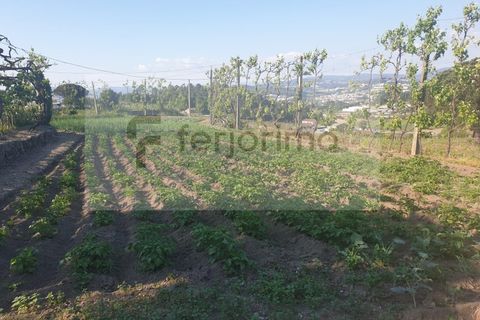 Farm i Guimaraes, Braga, Guimaraes - € 180.000 | Ref: 4586 - foto 10