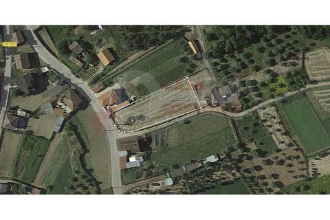 Terra a Arganil, Coimbra, Arganil - € 45.000 | Ref: BS 22/19 - foto 2