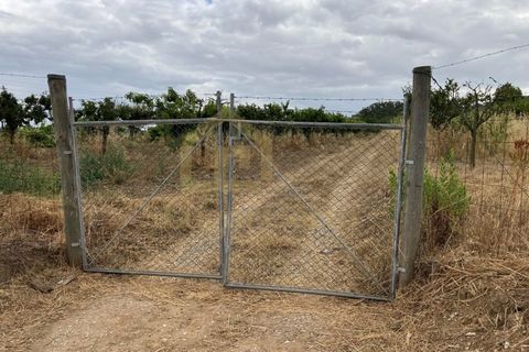 Helårsgrund i Quinta do Anjo, Setubal, Quinta do Anjo - € 290.000 | Ref: 1362 - foto 3