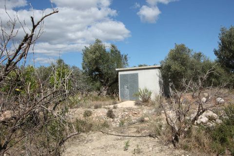 Terra a Murla, Alicante, Murla - € 220.000 | Ref: 00880 - foto 9