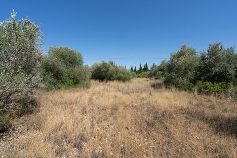 Finca i Tortosa, Tarragona, Tortosa - € 40.000 | Ref: 708 - foto 5
