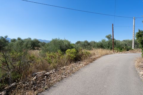 Finca i Tortosa, Tarragona, Tortosa - € 40.000 | Ref: 708 - foto 8