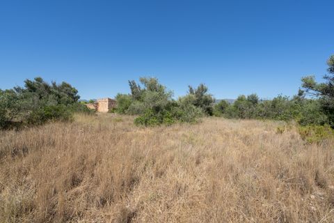Finca i Tortosa, Tarragona, Tortosa - € 40.000 | Ref: 708 - foto 6