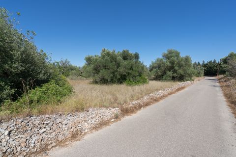 Finca i Tortosa, Tarragona, Tortosa - € 40.000 | Ref: 708 - foto 9