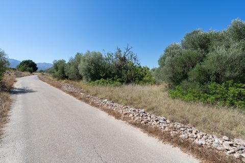 Finca i Tortosa, Tarragona, Tortosa - € 40.000 | Ref: 708 - foto 3