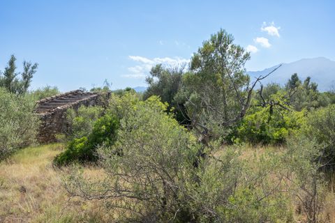 Finca i Tortosa, Tarragona, Tortosa - € 40.000 | Ref: 708 - foto 4