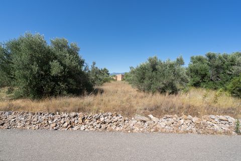 Finca i Tortosa, Tarragona, Tortosa - € 40.000 | Ref: 708 - foto 7