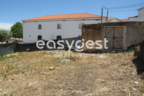 Helårsgrund i Albernoa e Trindade, Beja, Albernoa e Trindade - € 30.000 | Ref: BJ88738 - foto 4