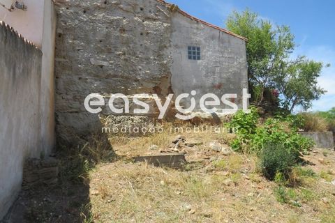 Helårsgrund i Albernoa e Trindade, Beja, Albernoa e Trindade - € 30.000 | Ref: BJ88738 - foto 14