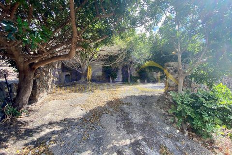 Finca i Tabayesco, Lanzarote, Tabayesco - € 340.000 | Ref: sci 1491 - foto 3