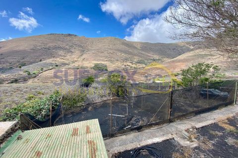 Finca i Tabayesco, Lanzarote, Tabayesco - € 340.000 | Ref: sci 1491 - foto 33