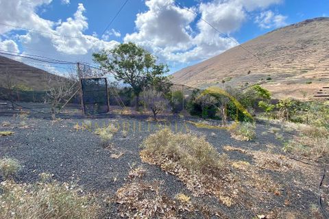 Finca i Tabayesco, Lanzarote, Tabayesco - € 340.000 | Ref: sci 1491 - foto 36