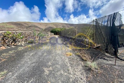 Finca i Tabayesco, Lanzarote, Tabayesco - € 340.000 | Ref: sci 1491 - foto 37