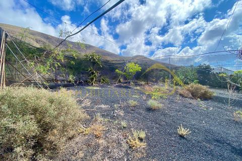 Finca i Tabayesco, Lanzarote, Tabayesco - € 340.000 | Ref: sci 1491 - foto 38