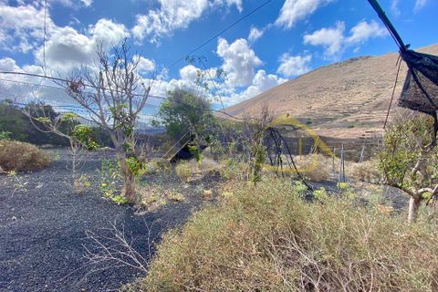 Finca i Tabayesco, Lanzarote, Tabayesco - € 340.000 | Ref: sci 1491 - foto 39