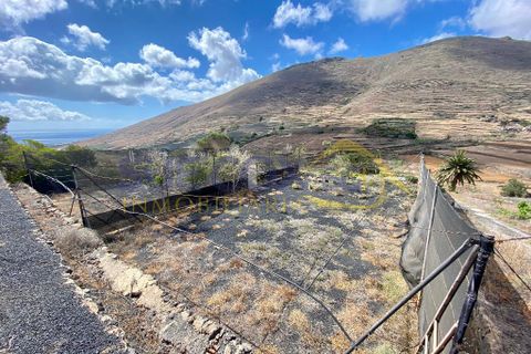 Finca i Tabayesco, Lanzarote, Tabayesco - € 340.000 | Ref: sci 1491 - foto 40