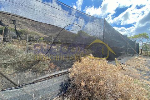 Finca i Tabayesco, Lanzarote, Tabayesco - € 340.000 | Ref: sci 1491 - foto 41