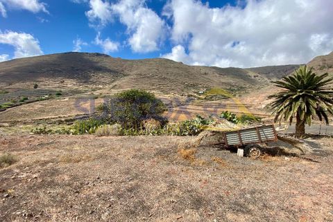 Finca i Tabayesco, Lanzarote, Tabayesco - € 340.000 | Ref: sci 1491 - foto 43
