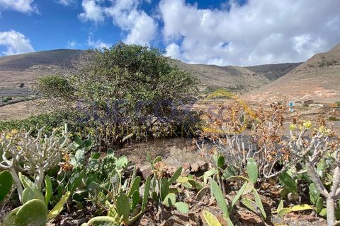 Finca i Tabayesco, Lanzarote, Tabayesco - € 340.000 | Ref: sci 1491 - foto 44