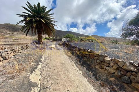 Finca i Tabayesco, Lanzarote, Tabayesco - € 340.000 | Ref: sci 1491 - foto 45