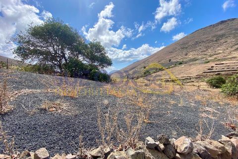 Finca i Tabayesco, Lanzarote, Tabayesco - € 340.000 | Ref: sci 1491 - foto 46