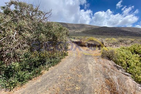 Finca i Tabayesco, Lanzarote, Tabayesco - € 340.000 | Ref: sci 1491 - foto 47