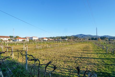 Helårsgrund i Moncao, Viana do Castelo, Moncao - € 110.000 | Ref: 3815 - foto 2