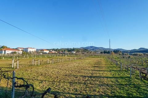 Helårsgrund i Moncao, Viana do Castelo, Moncao - € 110.000 | Ref: 3815 - foto 3